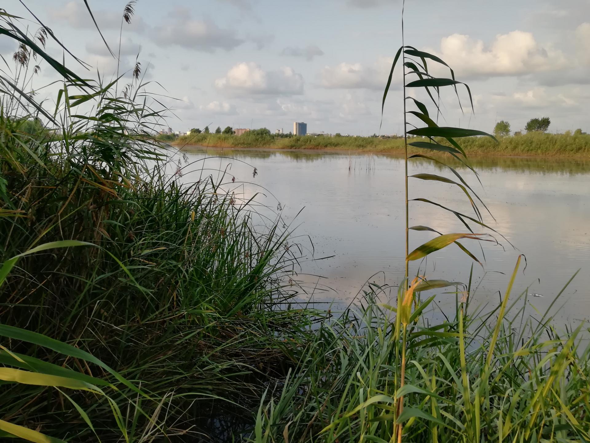 1خرید زمین اجاکسر