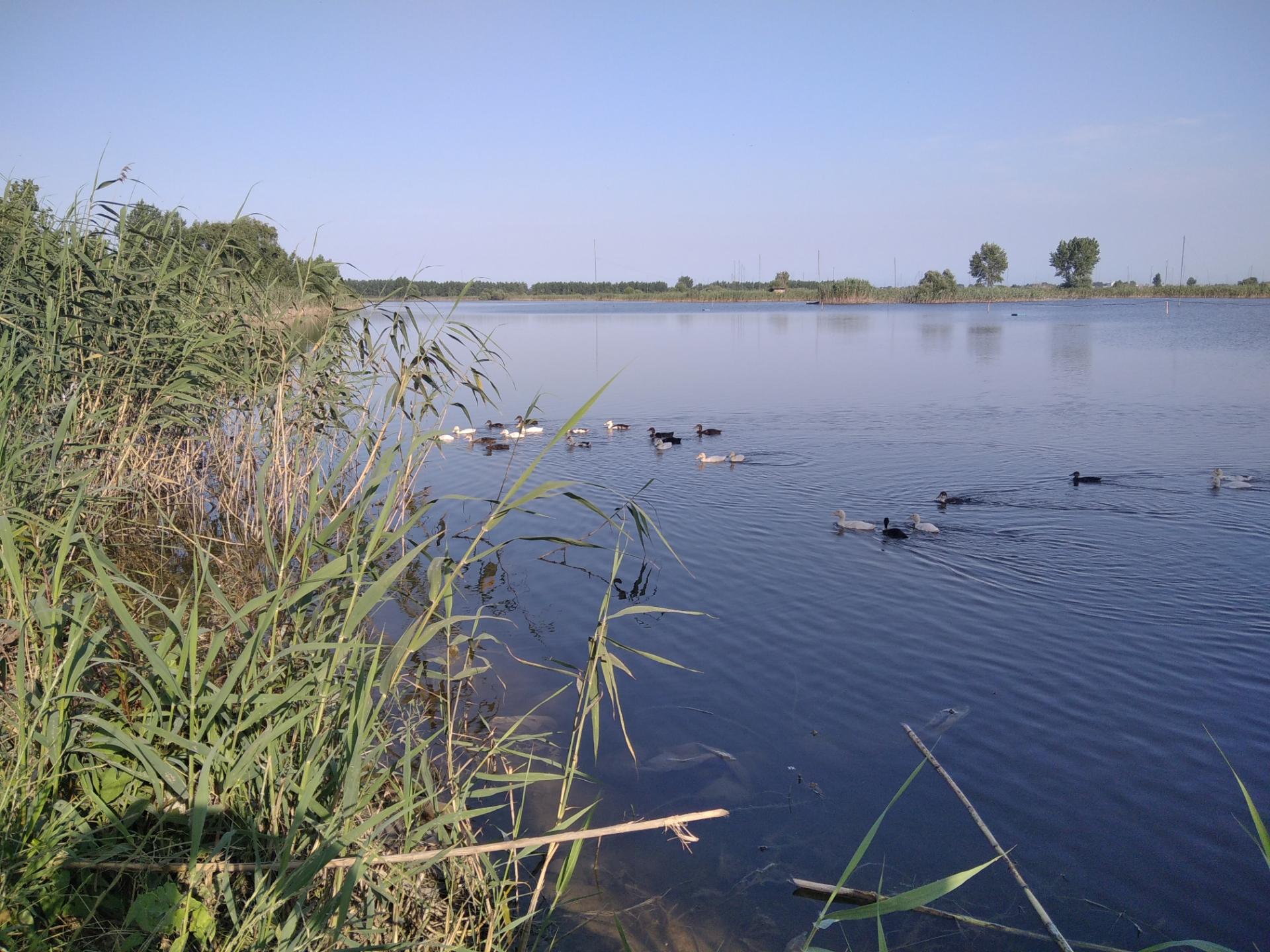 خرید زمین -اجاکسر