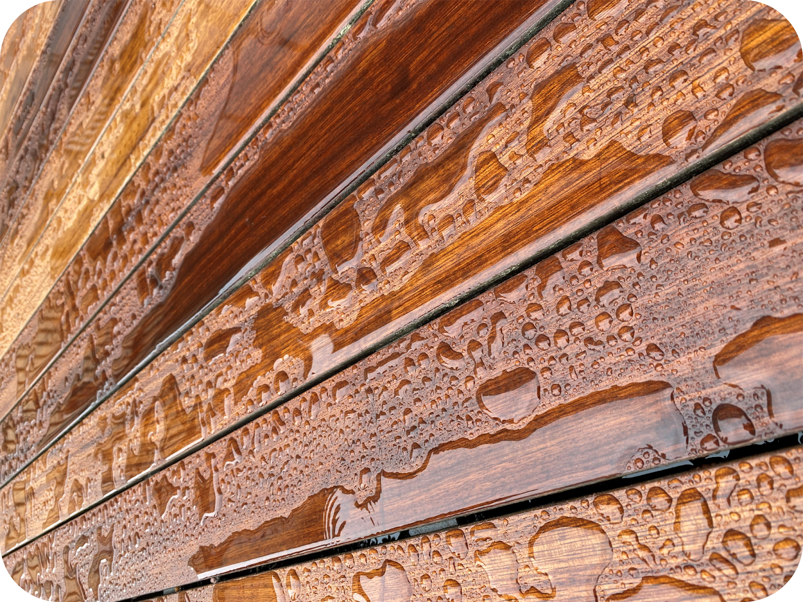 چوب ترمووود